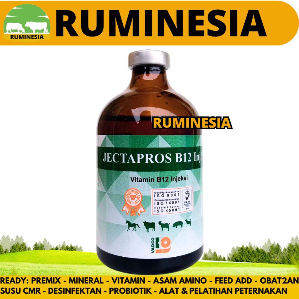 JECTAPROS B12 100ML VADCO - Vitamin B12 Hewan Anti Anemia & Menambah Nafsu Makan - Like Jectavit b12