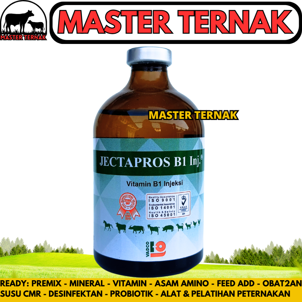 JECTAPROS B1 100ML VADCO - Vitamin B1 Hewan Ternak Sapi Kambing Babi Anjing Unggas