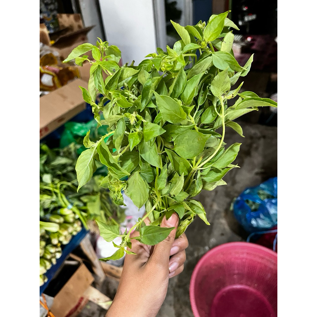 

INSTAN - Kemangi per ikat kecil | Daun Kemangi per ikat