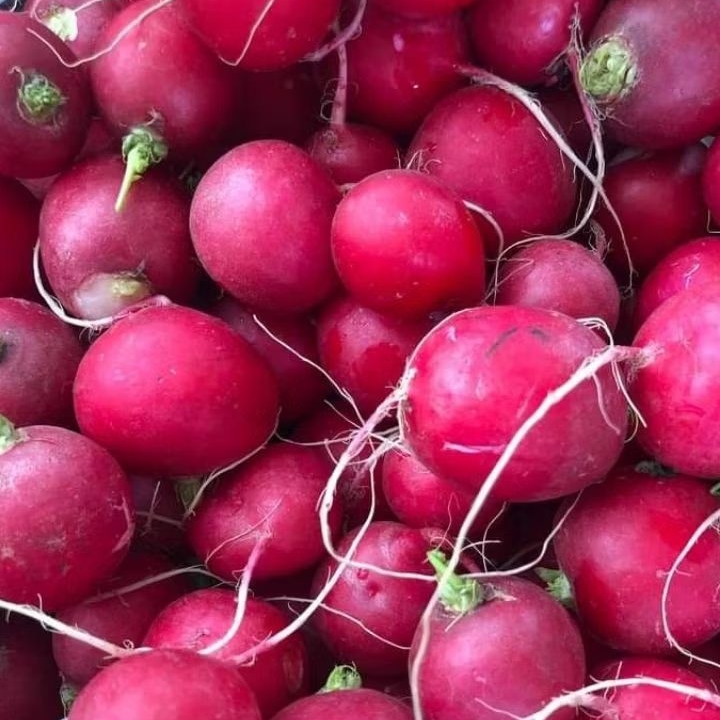 

Lobak Merah / Red Radish 500 Gram