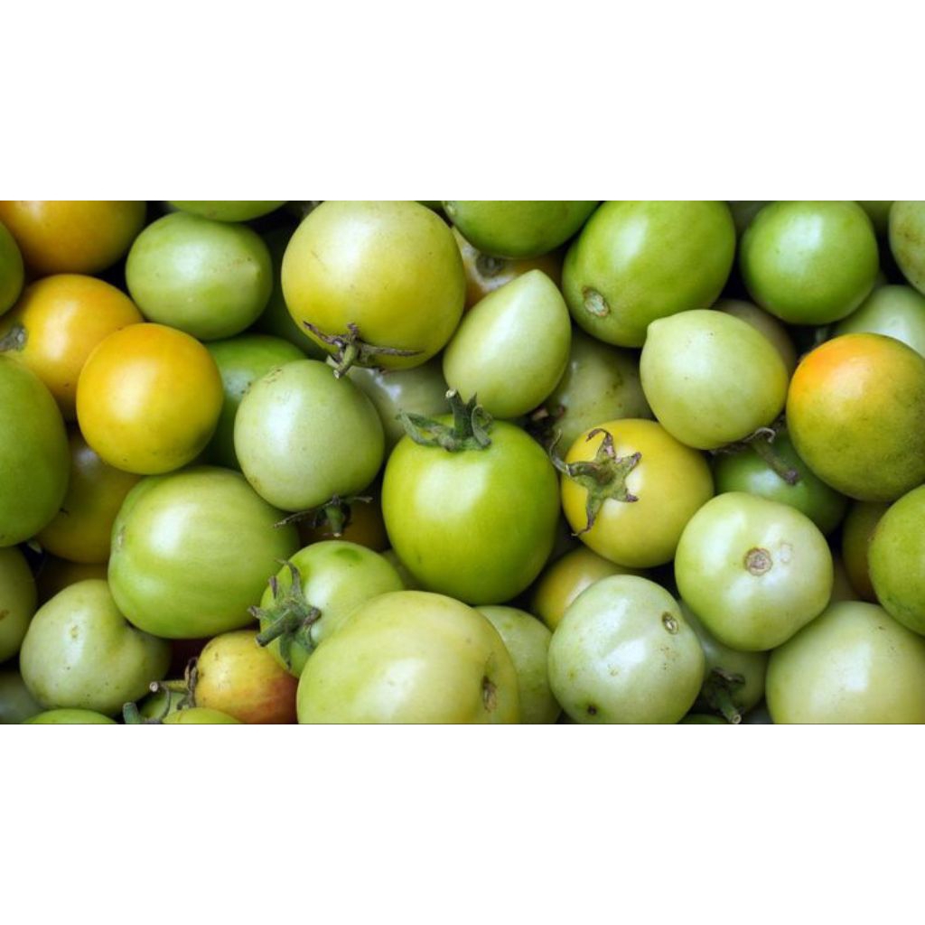 

Tomat Hijau FRESH BATAM || MOHON BACA DESKRIPSI SEBELUM CHECKOUT