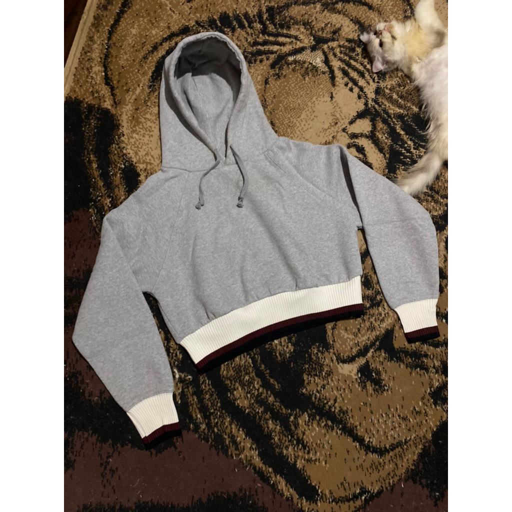 hoddie crop second