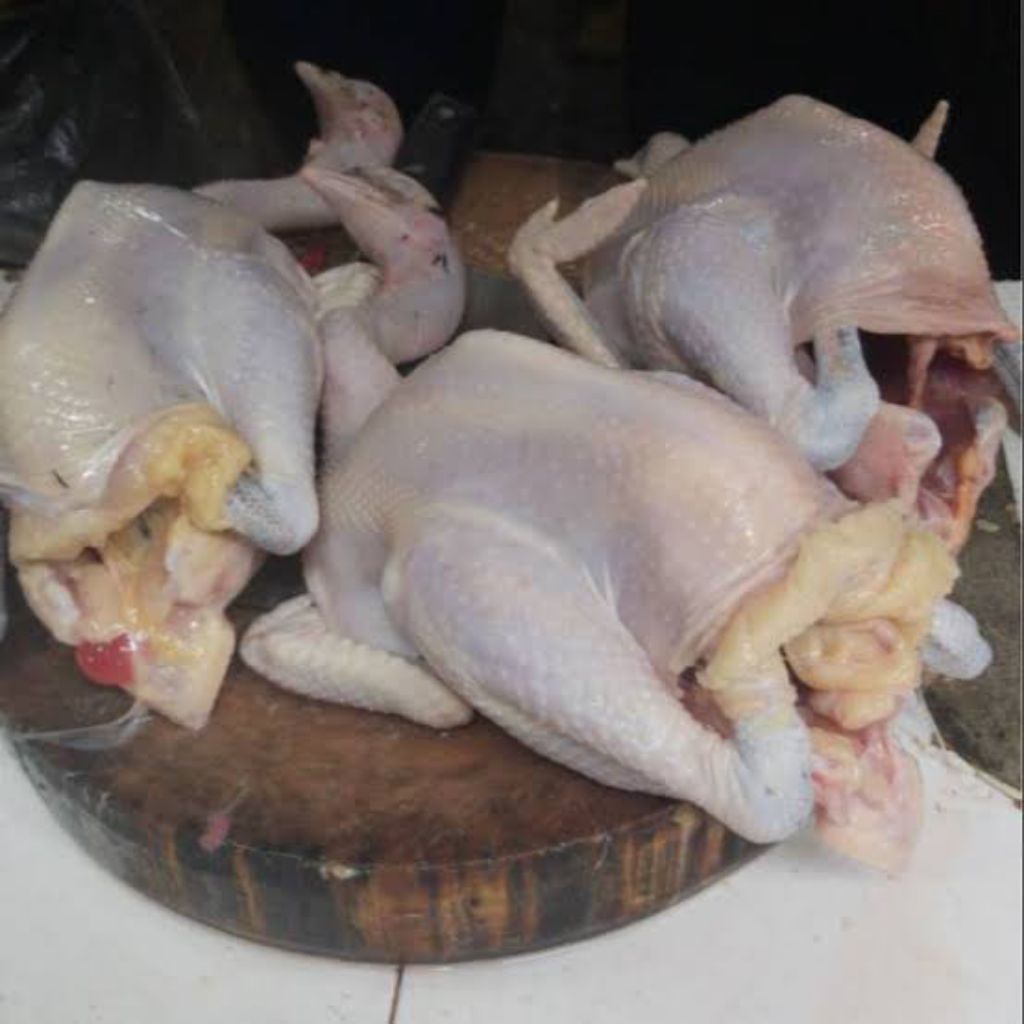 

Ayam kampung fresh segar 2kg-+/ ayam kampung segar fresh 2kg-+