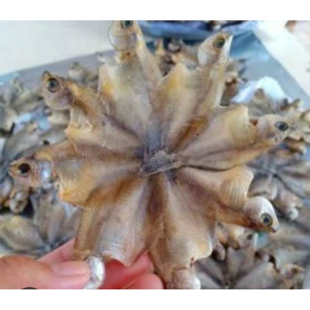 

lauk ikan sepat kering produk Martapura asli 2kg