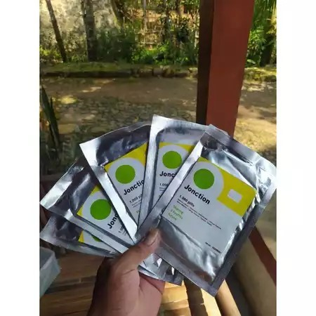 

PROMO !!! 1000 seed - Benih Jonction RZ Batavia Lettuce Jonction Rijk Zwaan