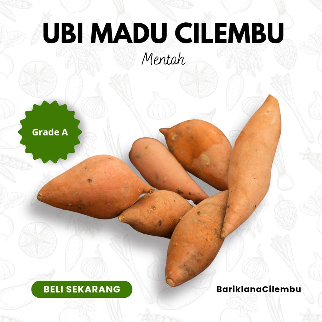 

Ubi Madu Cilembu asli Sumedang Grade A (Mentah)