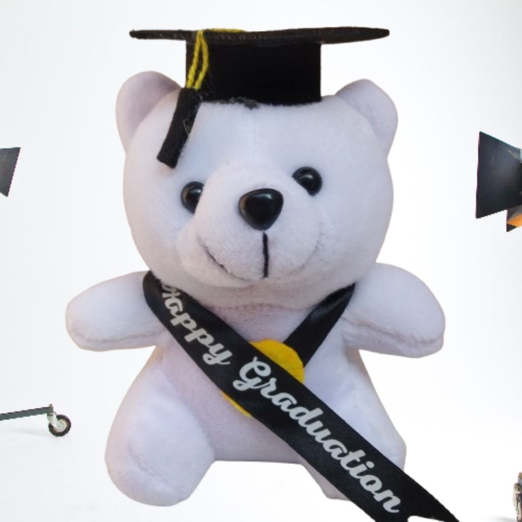 BONEKA WISUDA TEDDY BEAR MINI 15CM