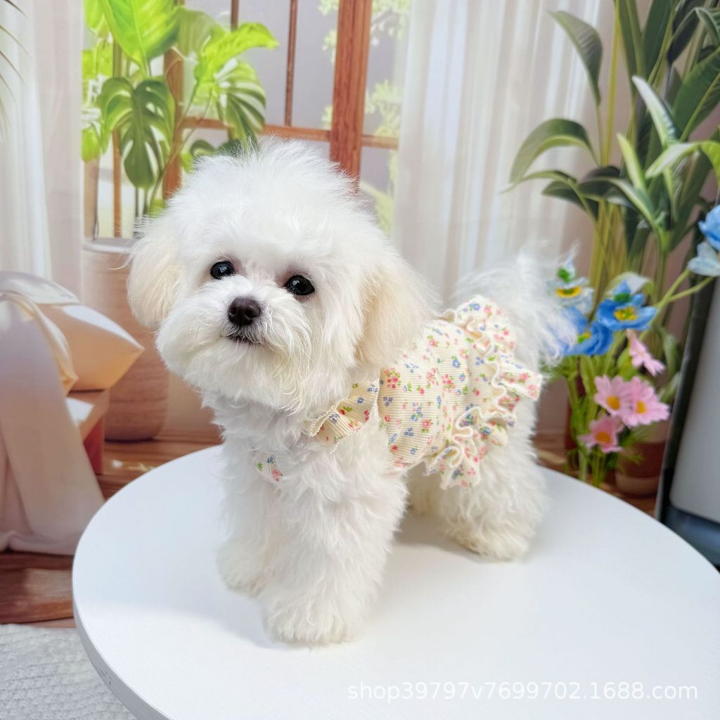 Sellyliavitaliavita Baju Pakaian Anjing Kucing Anabul Gaun Lucu Pomeranian Bichon Breathable Adem