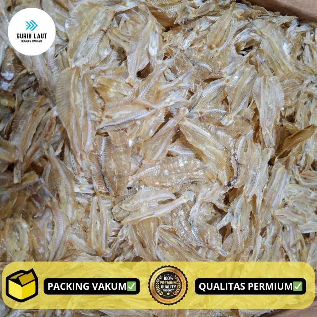 

IKAN KALAPAN/PAKKANG TAWAR KUALITAS SUPER