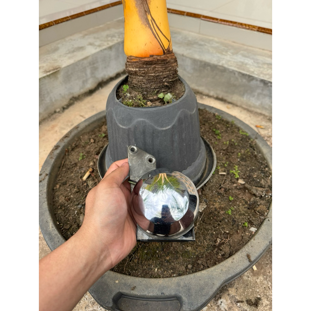 klakson goldwing original