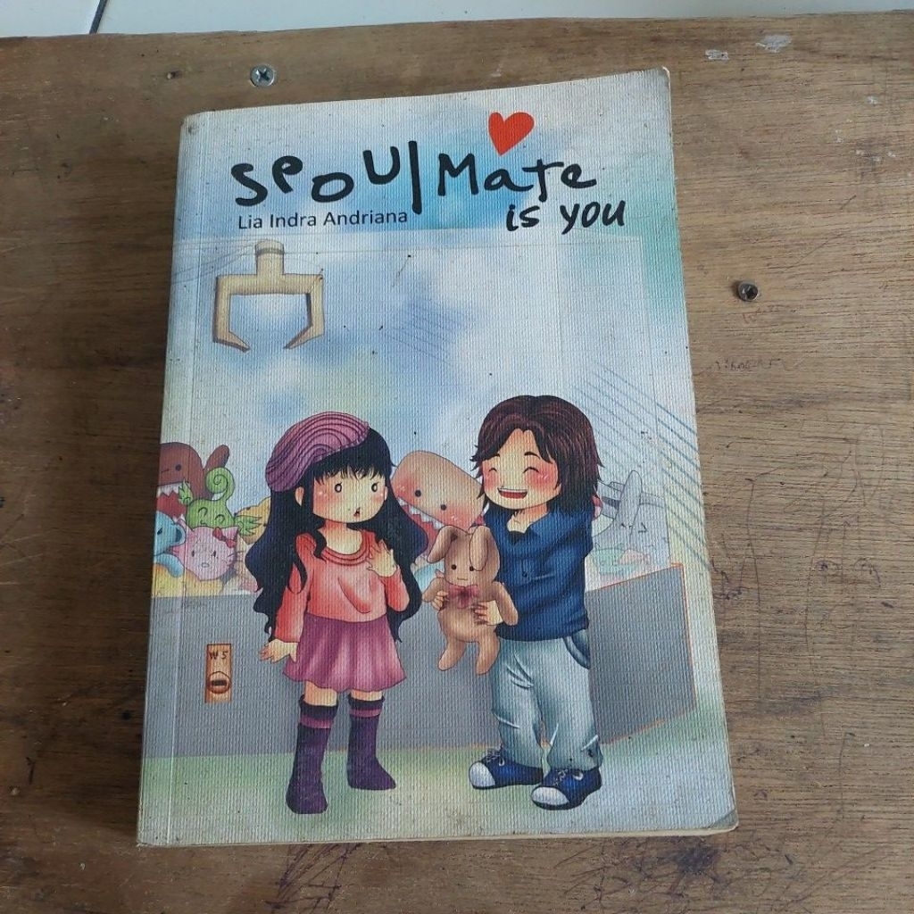 NOVEL SOULMATE IS YOU