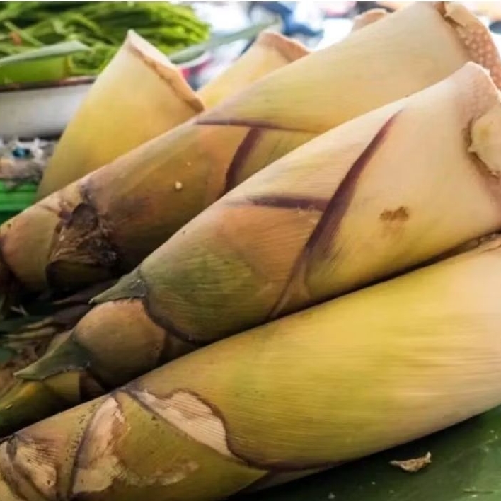 

Rebung/Iwung Bambu Kuning segar belum dikupas 1kg