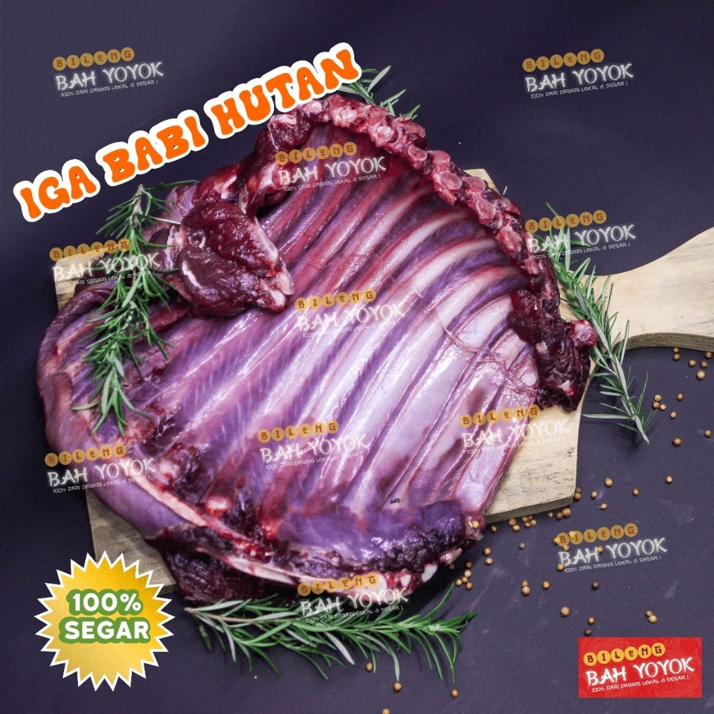 

Iga Babi Hutan - Iga Celeng