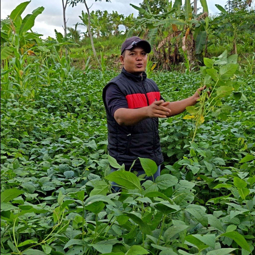 

KACANG KEDELAI MUDA | EDAMAME Kaya Akan KESEHATAN dan MANFAAT