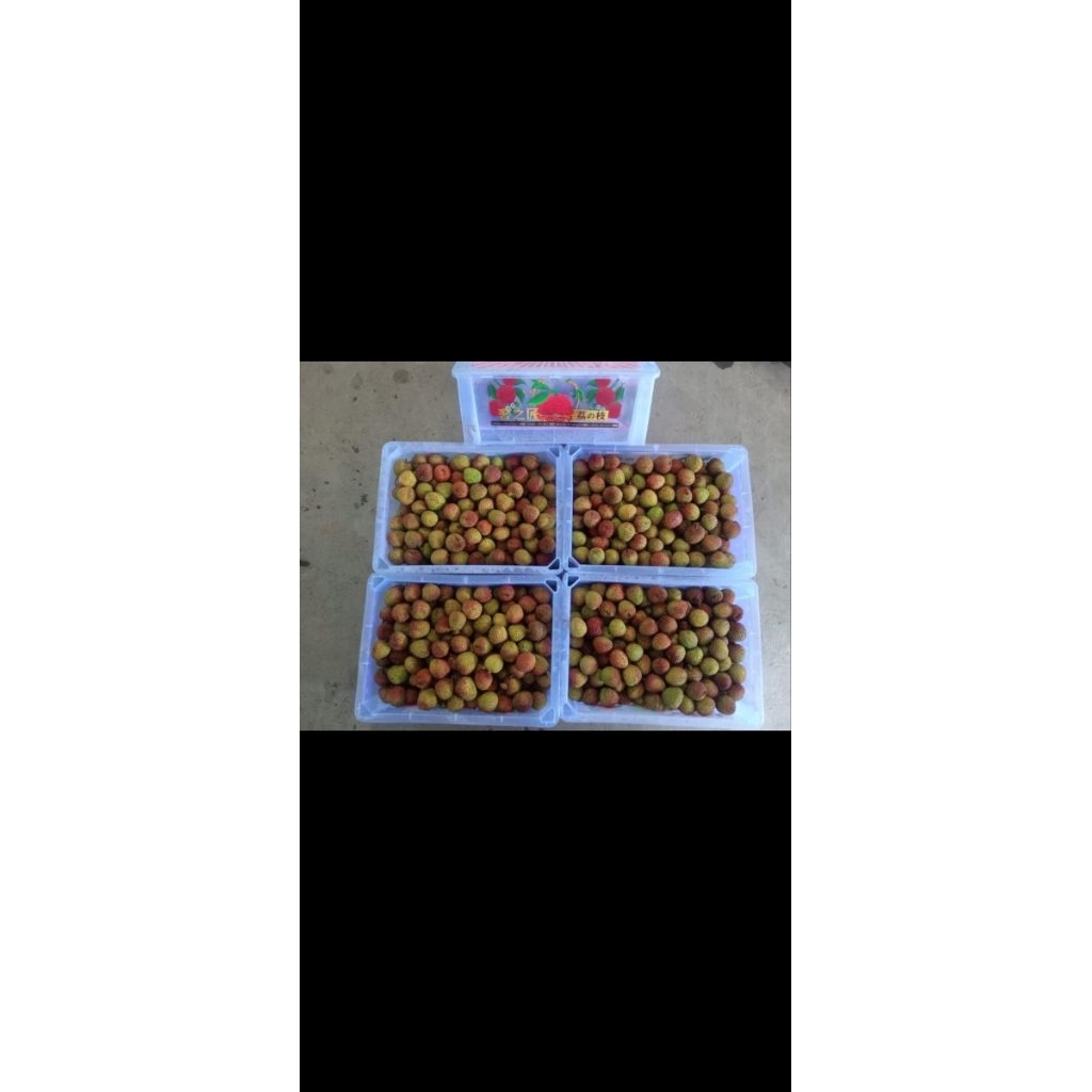 

buah leci ijo madu buah leci fresh buah leci segar