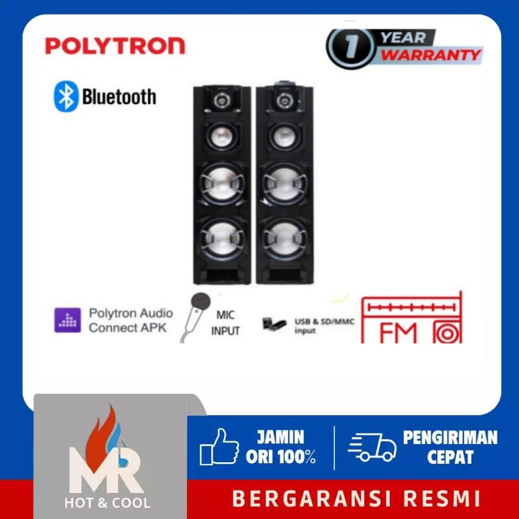 POLYTRON PAS8EF22 Active Speaker Bluetooth Radio FM PAS 8EF22
