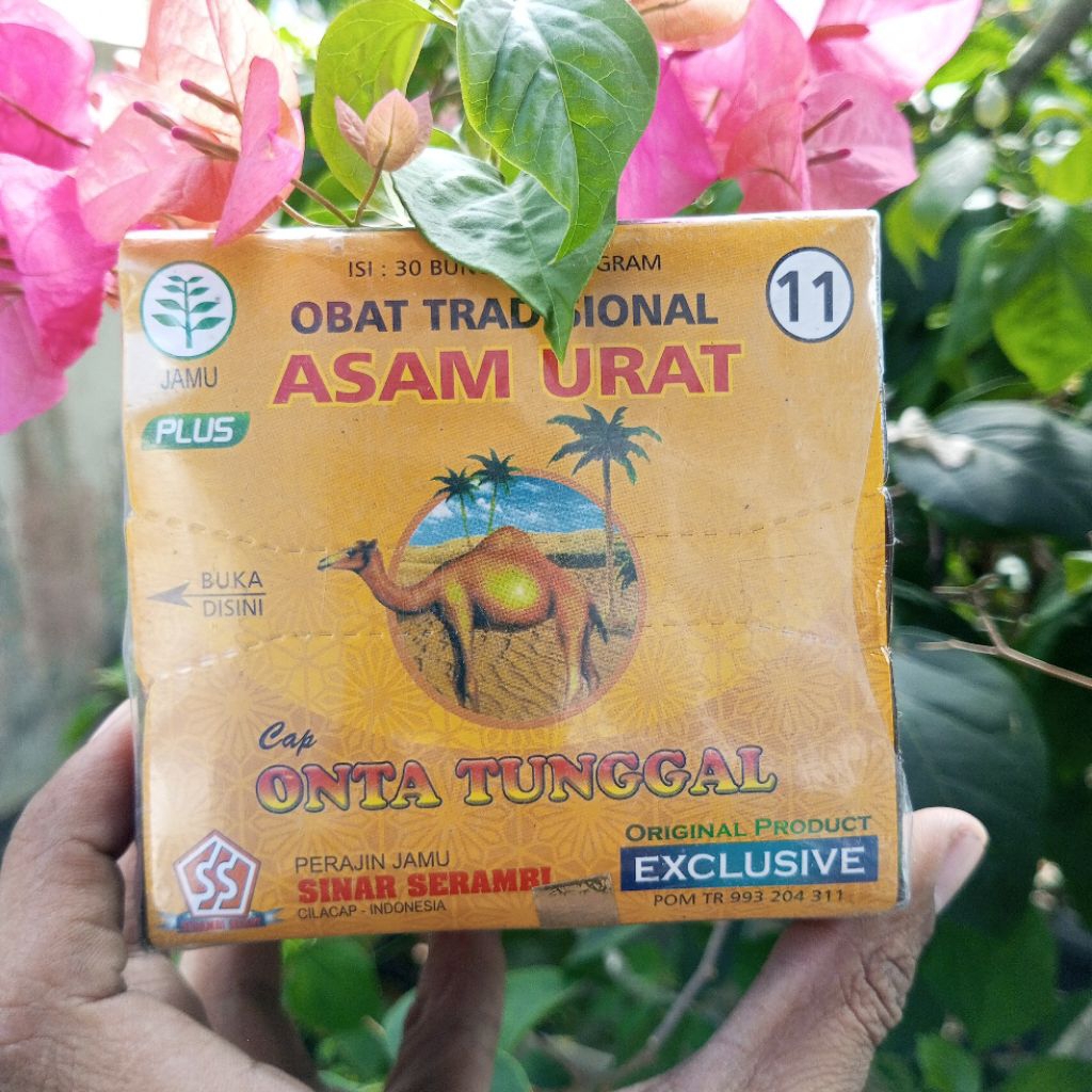 

cap onta tunggal ramuan tradisional asam urat