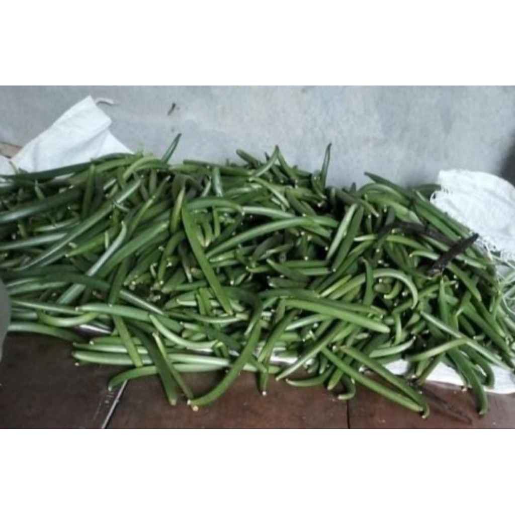 

Vanili Basah 1 kg