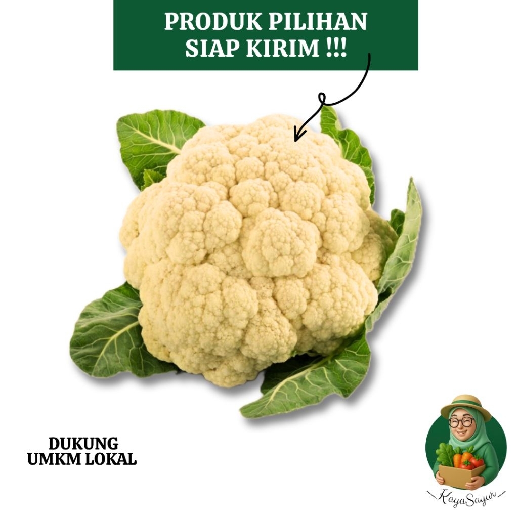 

Kembang kol segar 1/2kg