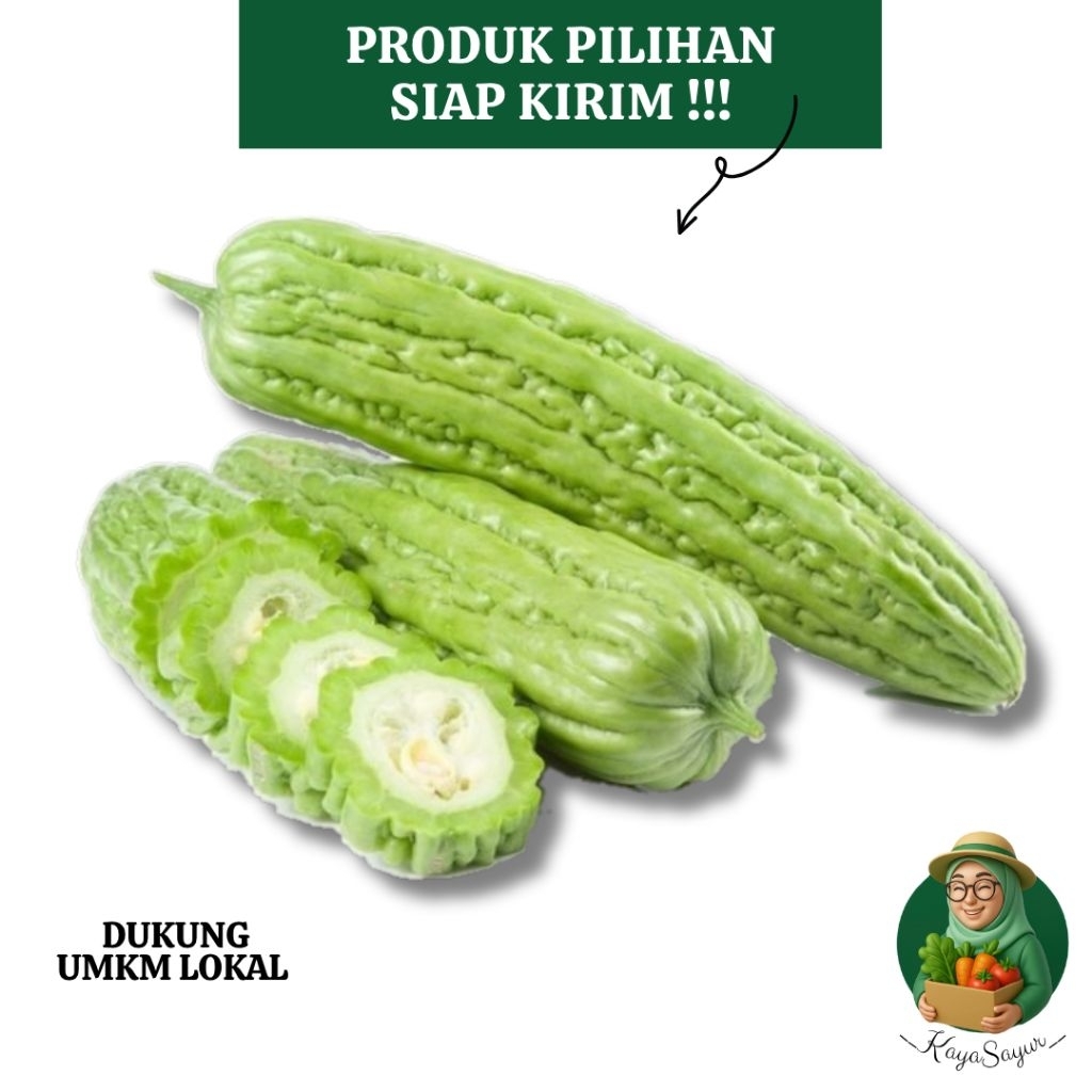 

Paria atau Pare fresh 1/2kg