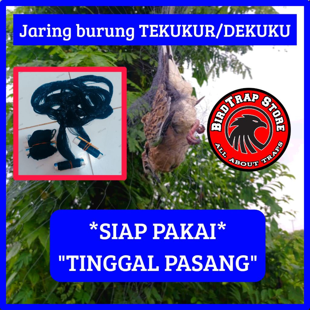 Jaring burung tekukur siap pakai panjang 10 meter, jebakan burung tekukur, jala burung tekukur siap 