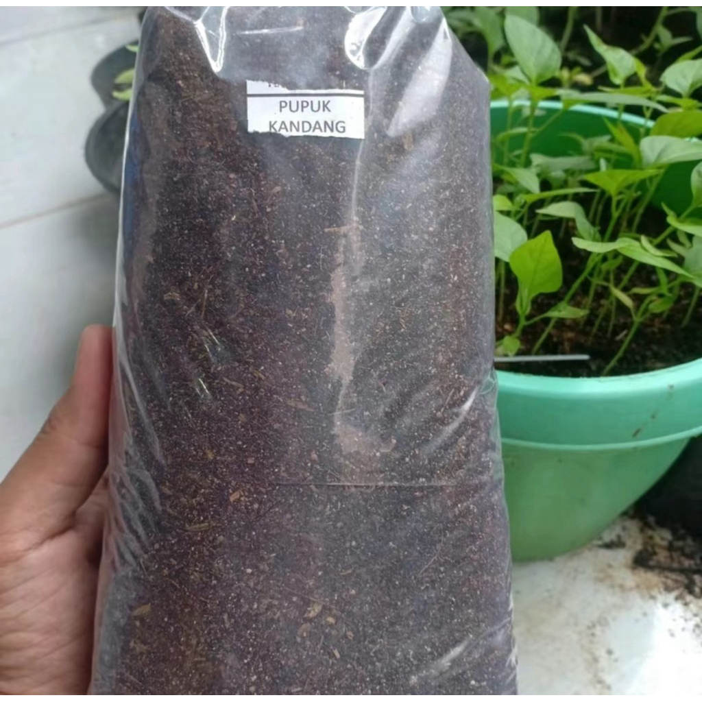 pupuk kandang siap pakai