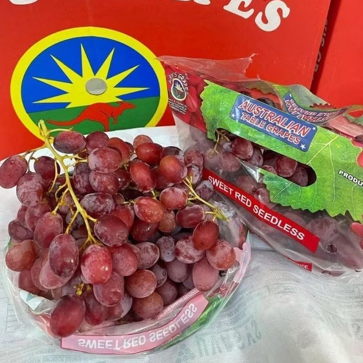 

ANGGUR CRIMSON KEMASAN PLASTIK 8.5kg
