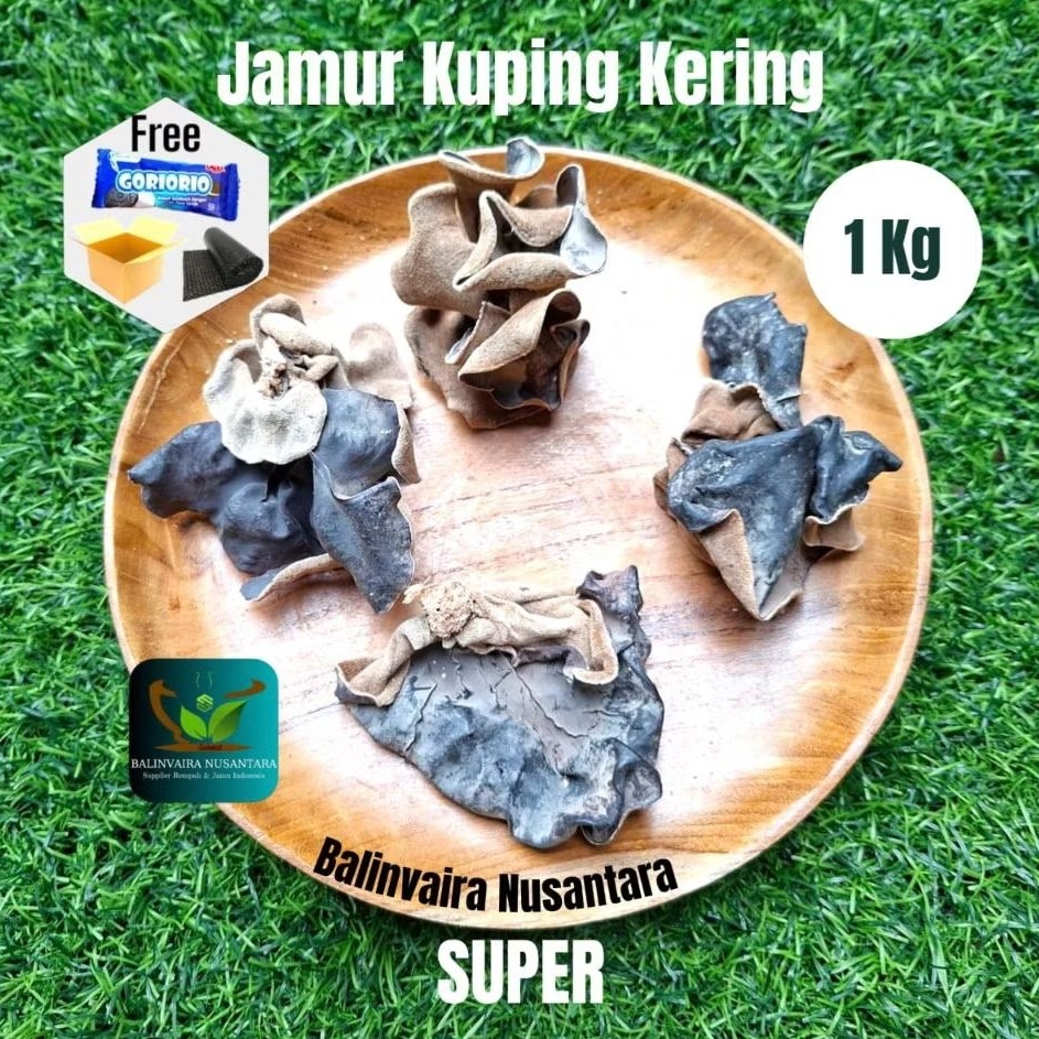

Jamur Kuping Kering 1 Kg - 500gr Super Grade A Hitam