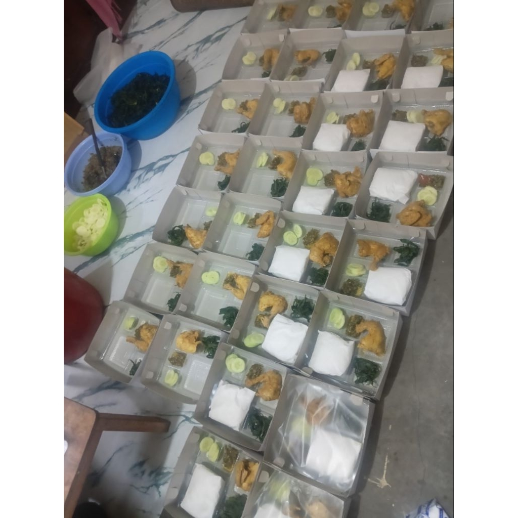 

nasi kotak nasi bungkus Padang