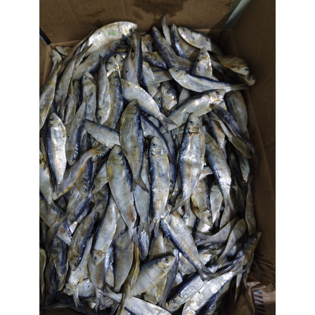 

ikan asin juwi sipil kering