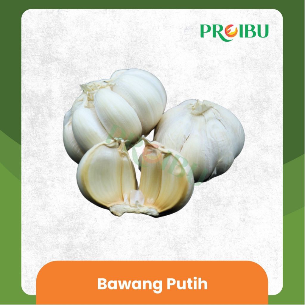 

Bawang Putih Bulat
