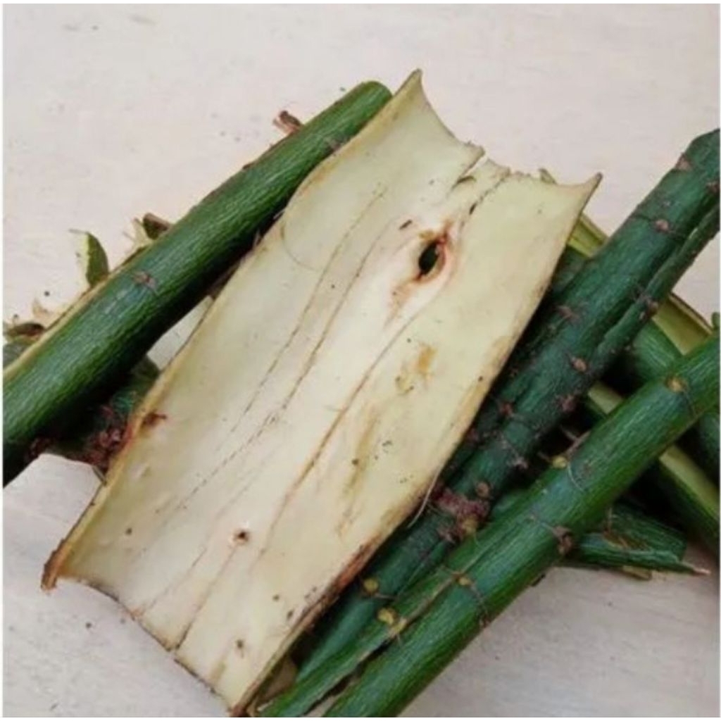 

Kulit randu segar organik 1 kg fresh-az