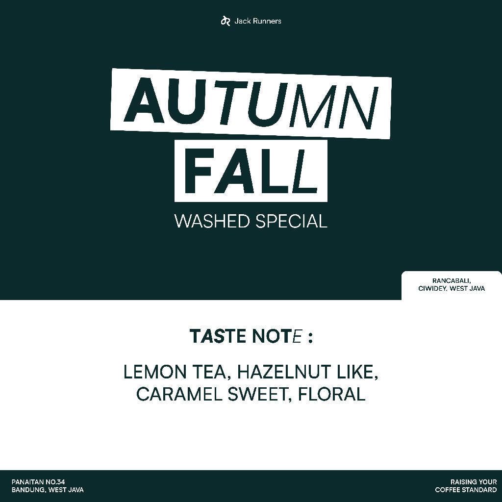 

JACK RUNNERS ROASTERY - PATUHA YELLOW CATURA (AUTUMN FALL) - ROASTED COFFEE BEANS