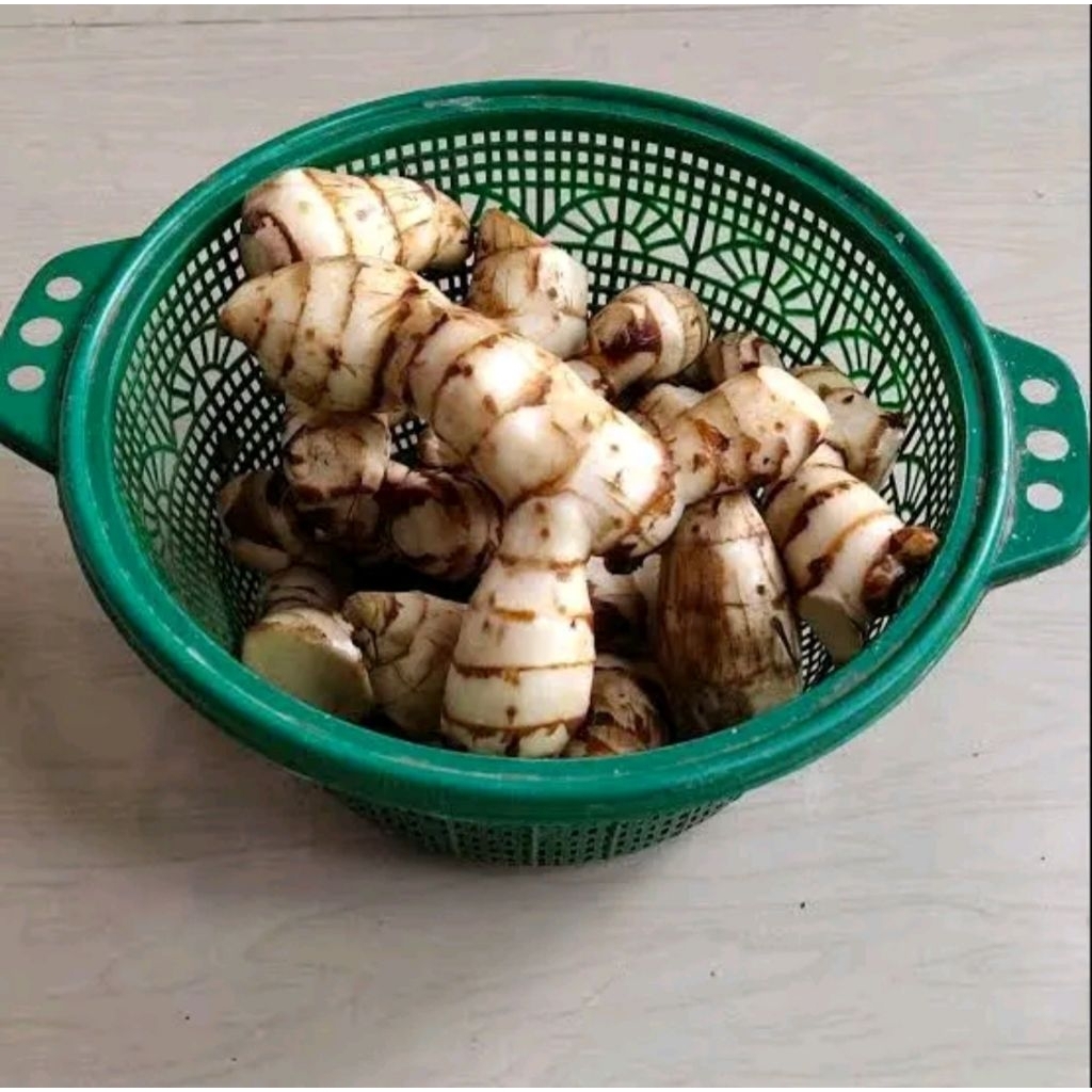 

Ganyong/jangklong ketan lereng gunung muria oleh-oleh sunan muria 1 Kg