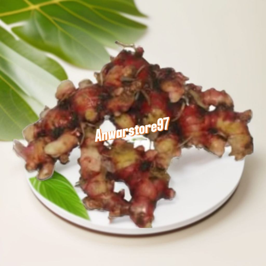 

Jahe merah segar per 500grm