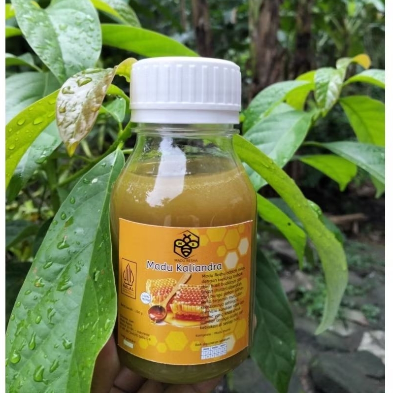 

PROMO Madu Resha Kaliandra 350g asli murni alami 100% untuk stamina dan kesehatan