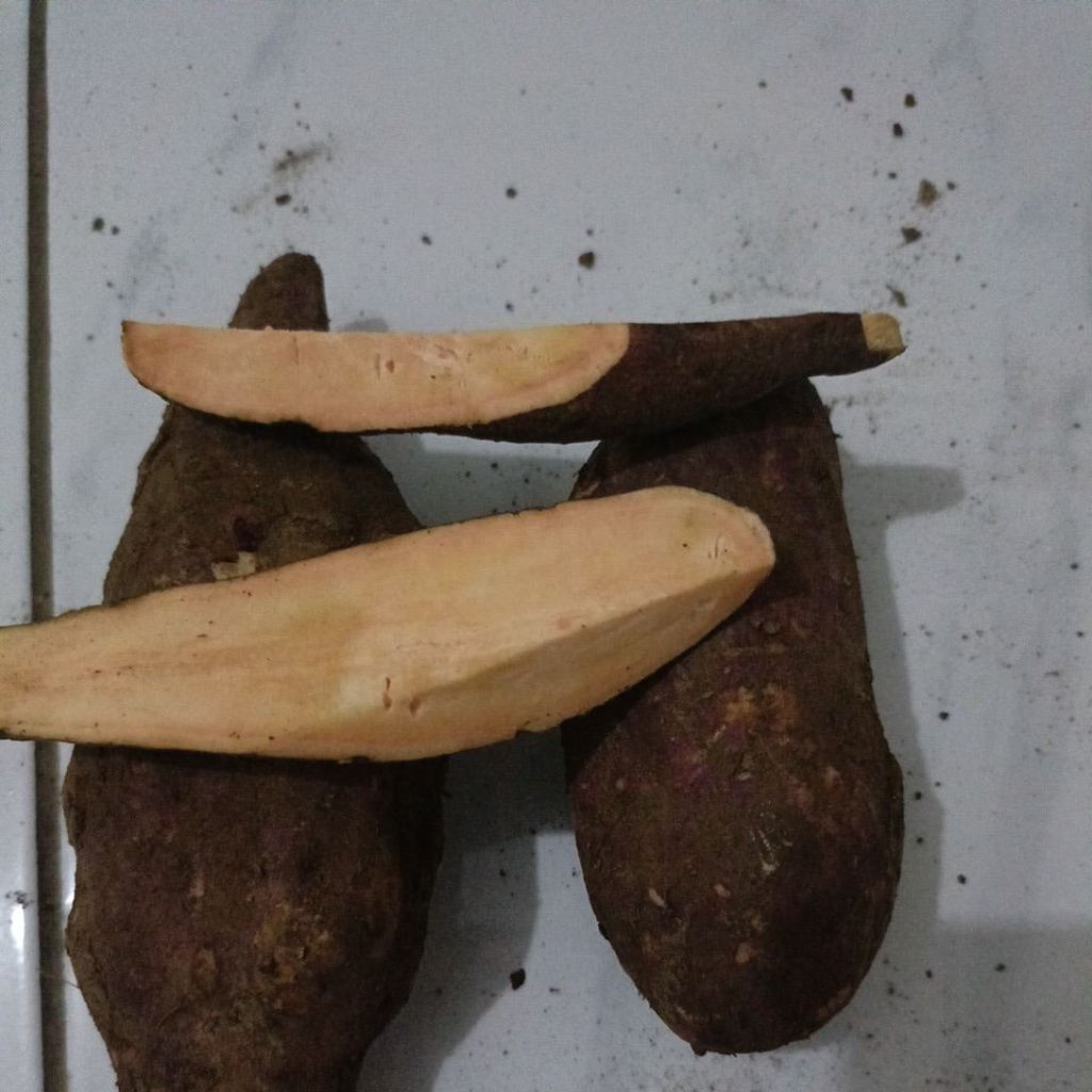 

ubi menes dalam nya oren 1kg