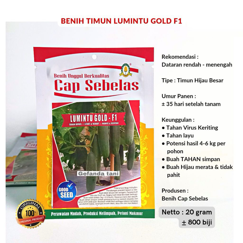 Benih Timun LUMINTU GOLD F1 NEW ORIGINAL - Cap sebelas