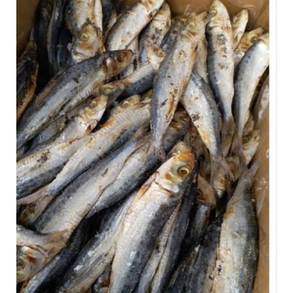 

Ikan Asin Tamban/ ikan tamban asin 100gram