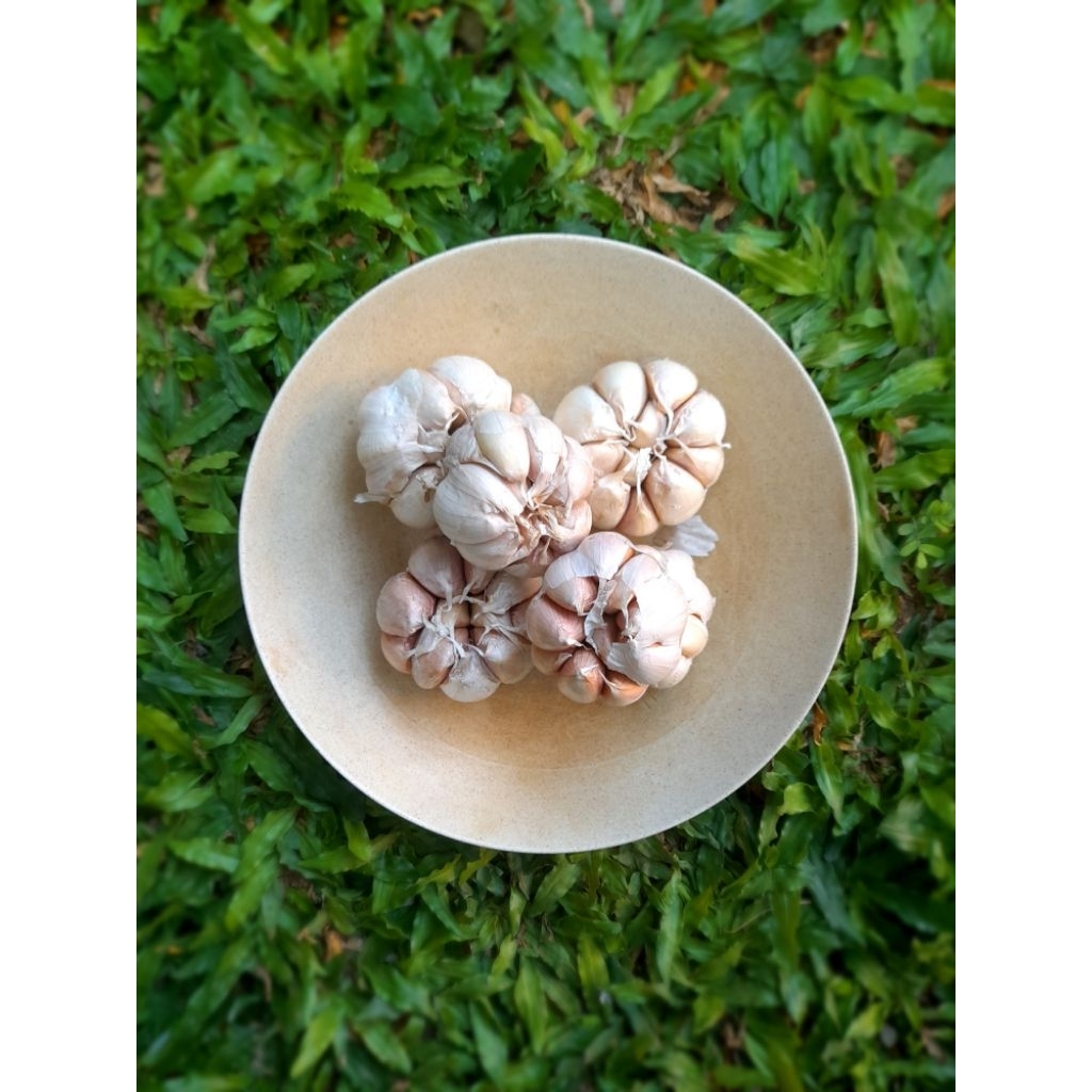 

BAWANG PUTIH FRESH