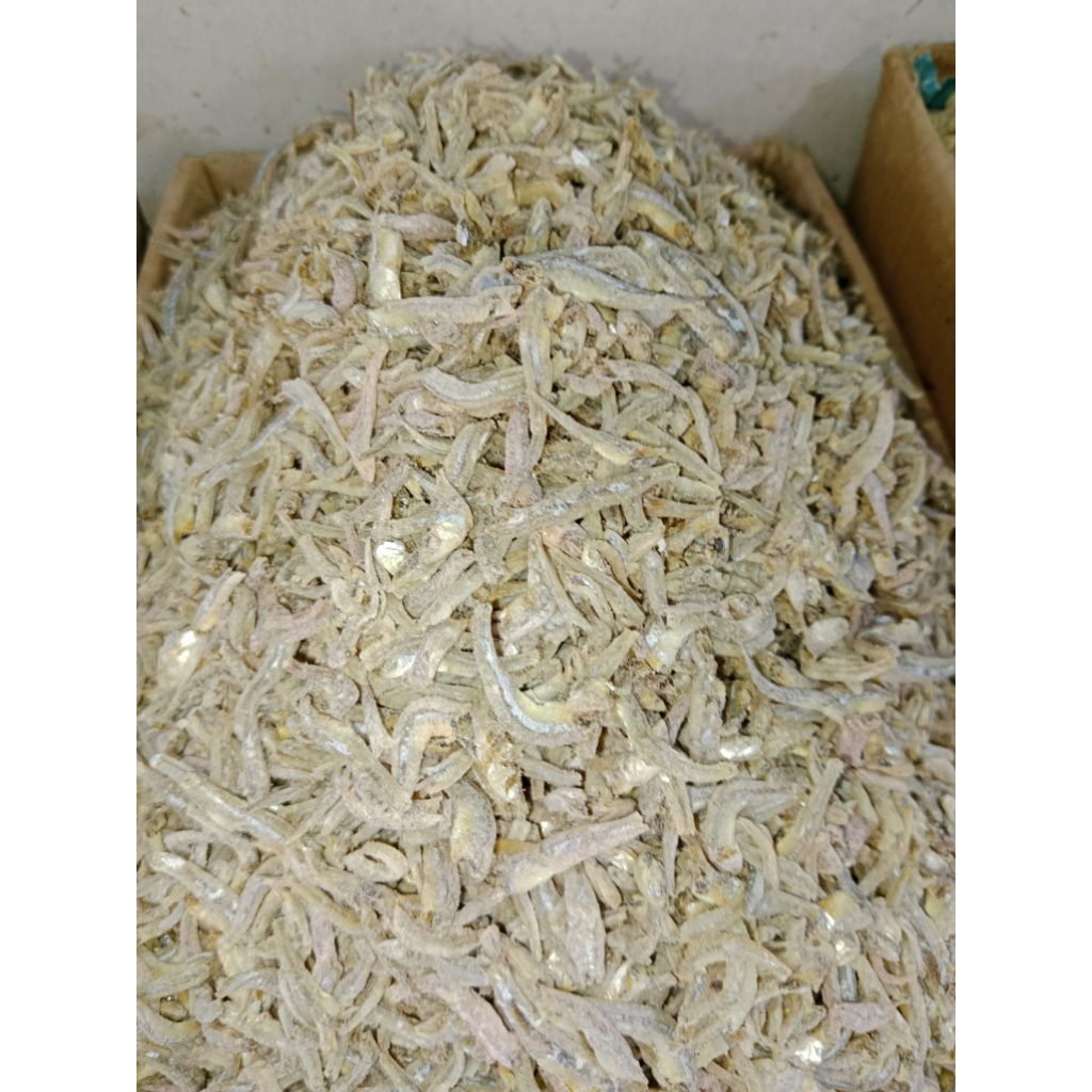 

IkanAsin TERI JENGKI KECIL store IKS