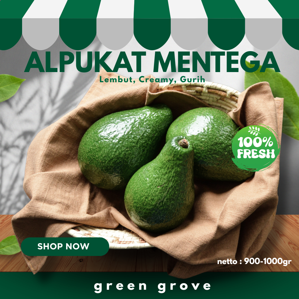 

Buah Alpukat Mentega 1Kg DIKIRIM MENTAH