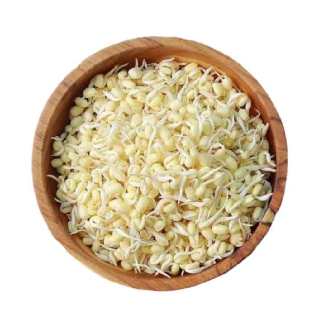 

TAUGE KECAMBAH/TAUGE KECIL 200gr