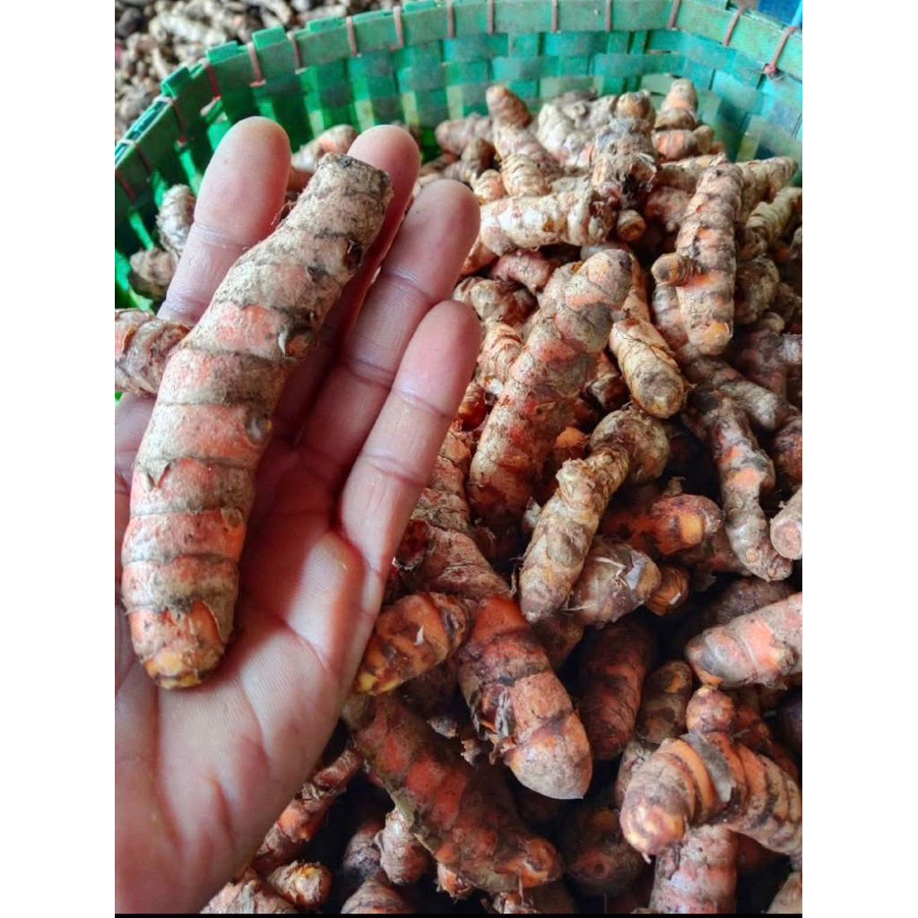 

kunyit 1kg barang bagus baru panen