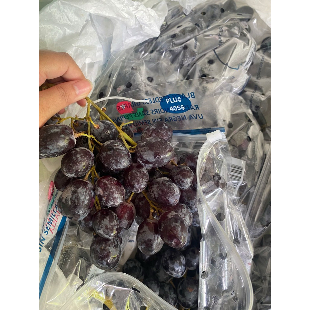 

Anggur Black Autumn Aussie | Anggur Hitam Australia | Anggur Impor