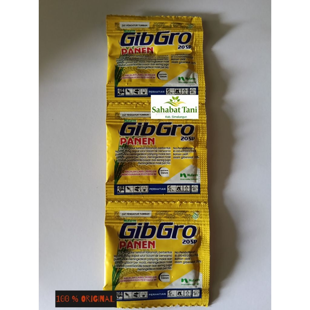 gibgro panen 20 SP