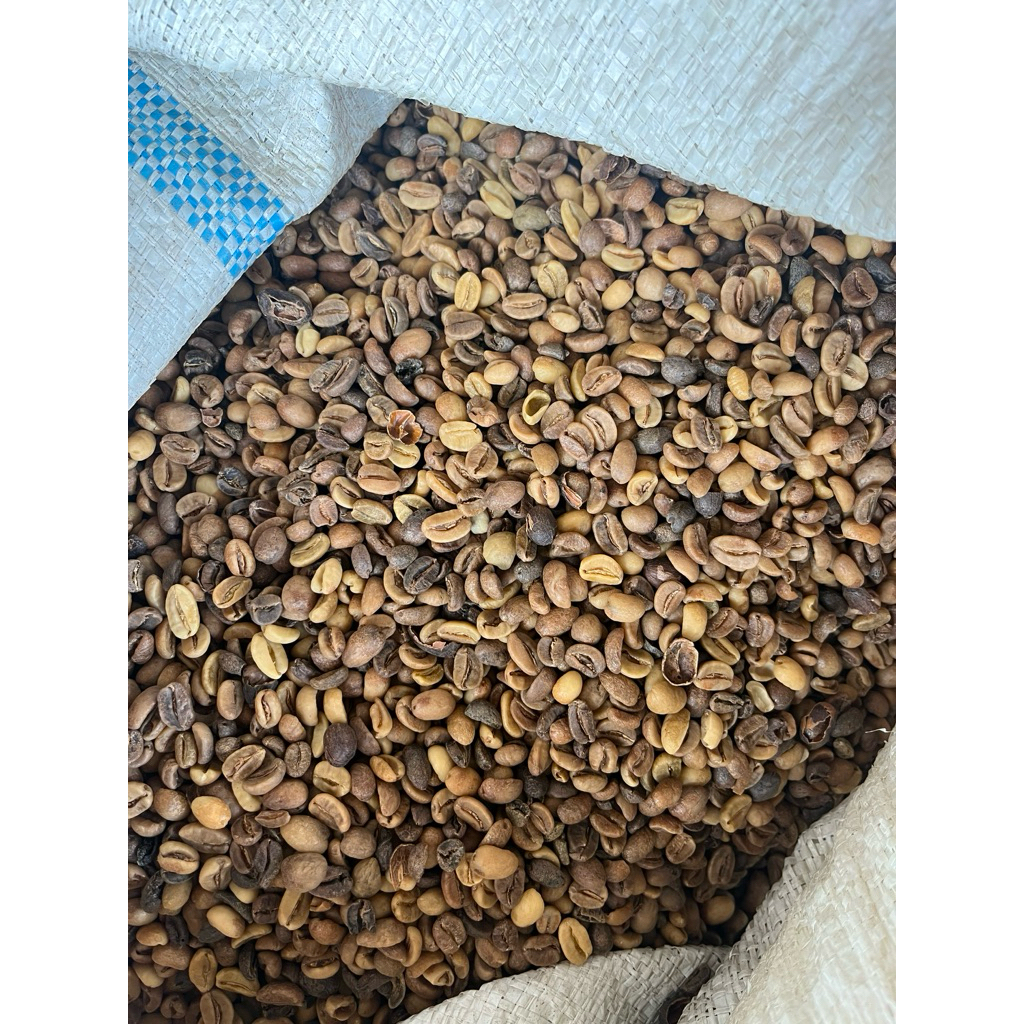 kopi Arabika Gayo Wine