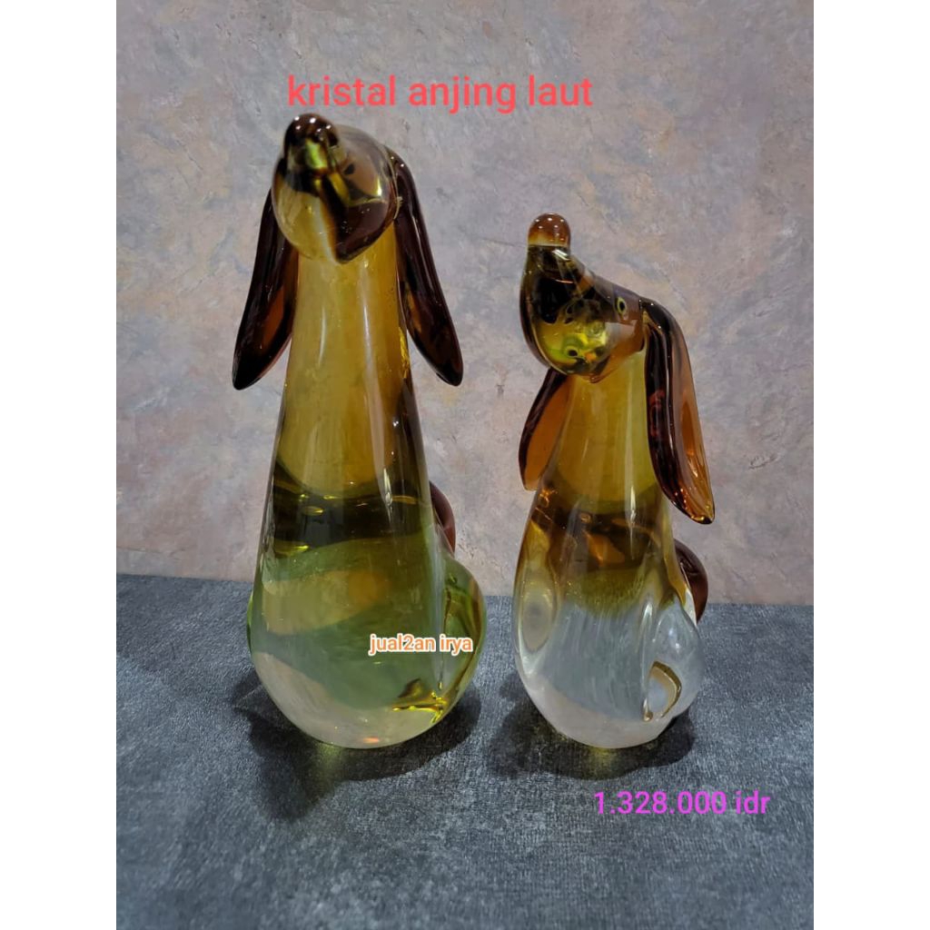 Anjing Laut | Kristal