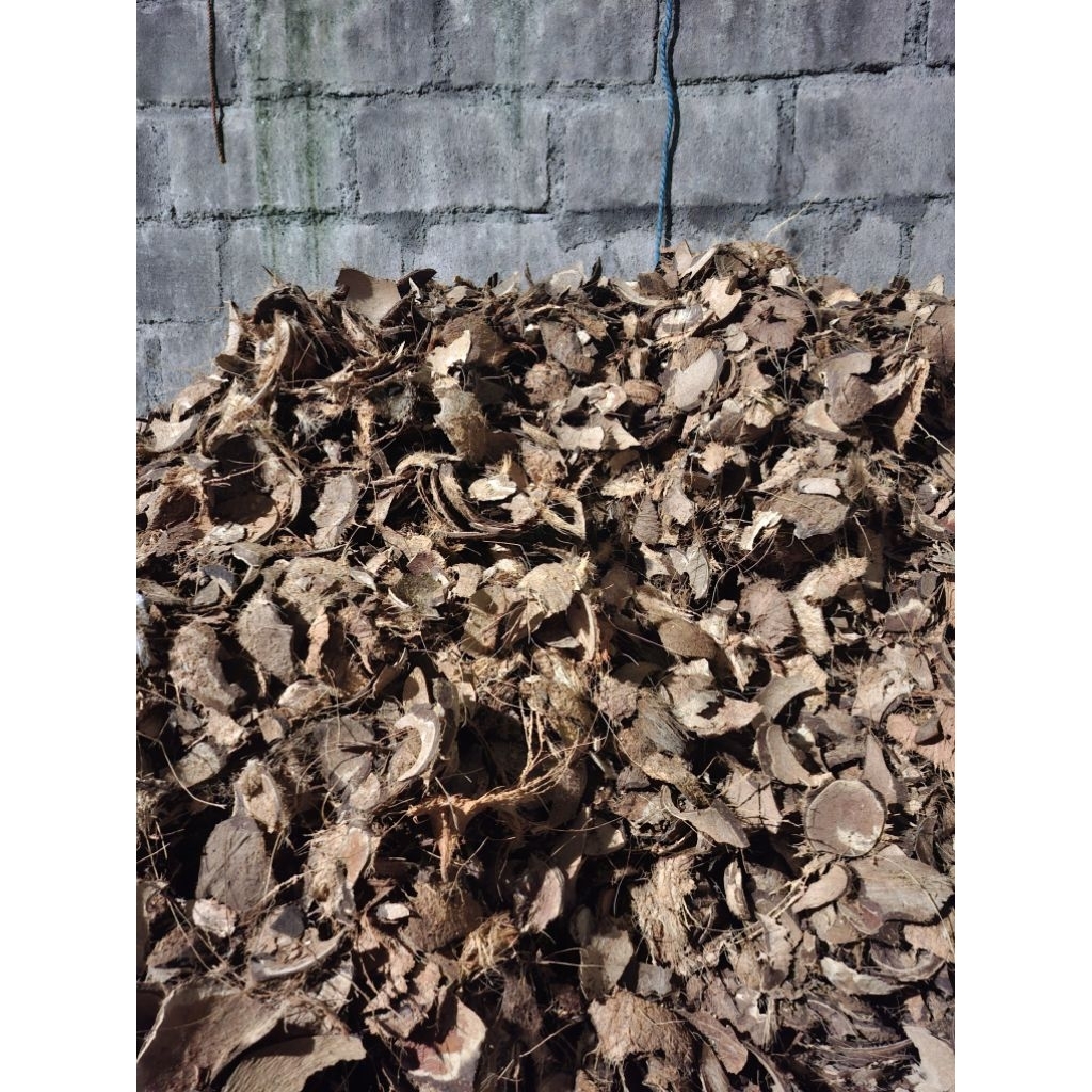 Batok Kelapa/Tempurung Kelapa Kering 1 Kilogram