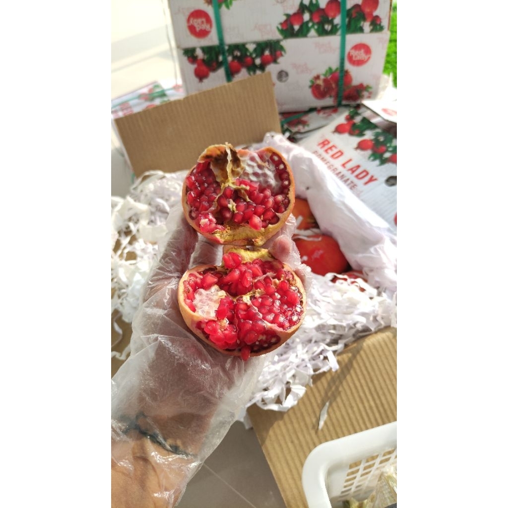 

BUAH DELIMA MERAH POMEGRANATE IMPOR IMPORT [GUDANGBUAHNUSANTARA]